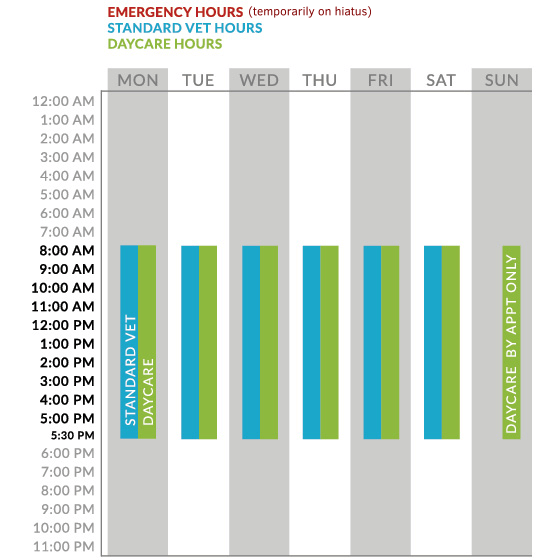 Working Hours